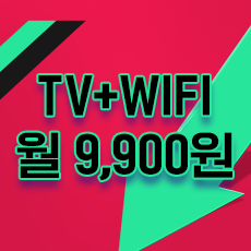 9900원(109개채널+WiFi)